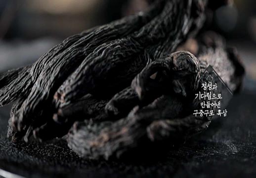 Fabricante de Ginseng Negro